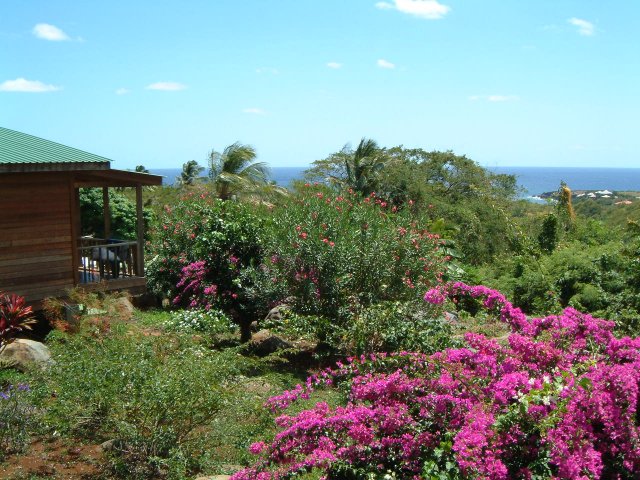 Big Sky Lodge - surrounded by a tropical garden