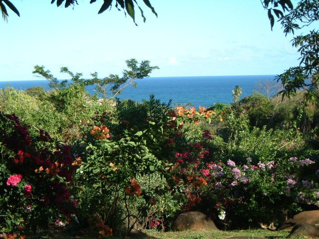 tropische Blumen, Sonne und Meer