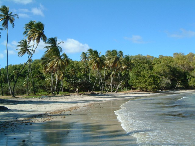 The beach, just a few minutes walk