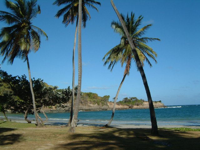 am Strand