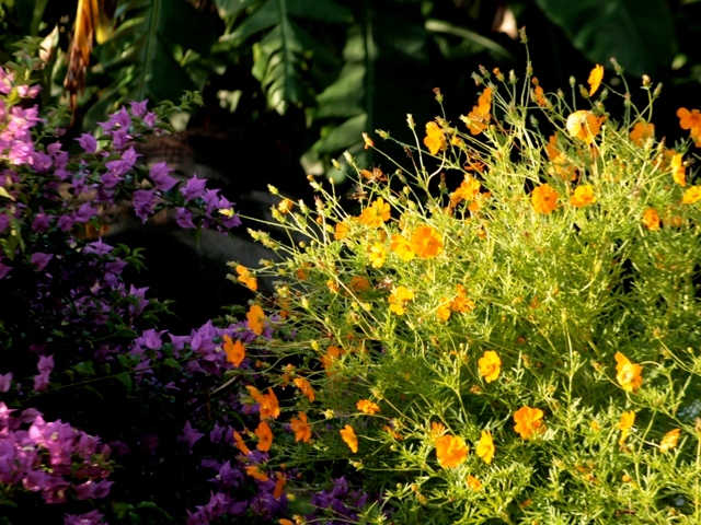 Big Sky Lodge umsumt von tropischen Blumen