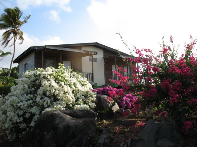 Die Big Sky Guesthouses sind von einem tropischen Blumenmeer umgeben