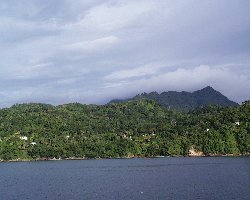 Rainforest: View from the west coast of Grenada