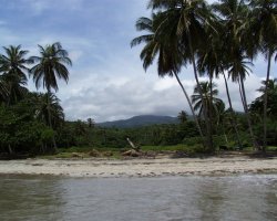 tropical climate at the coast, cooler in the center of Grenada