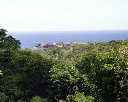 View from the sheltered veranda