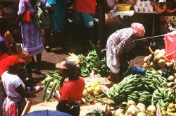 market in Grenville