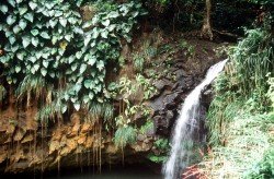 einer der zahlreichen Wasserflle von Grenada
